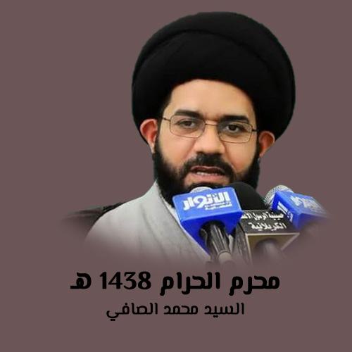 السيد محمد الصافي