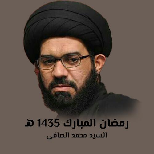 السيد محمد الصافي