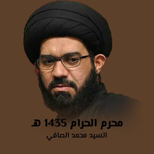 السيد محمد الصافي