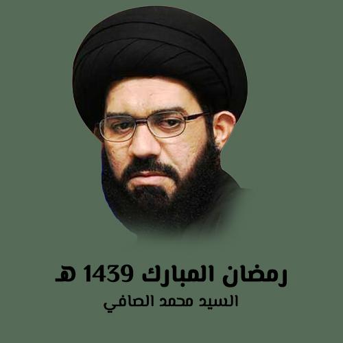 السيد محمد الصافي